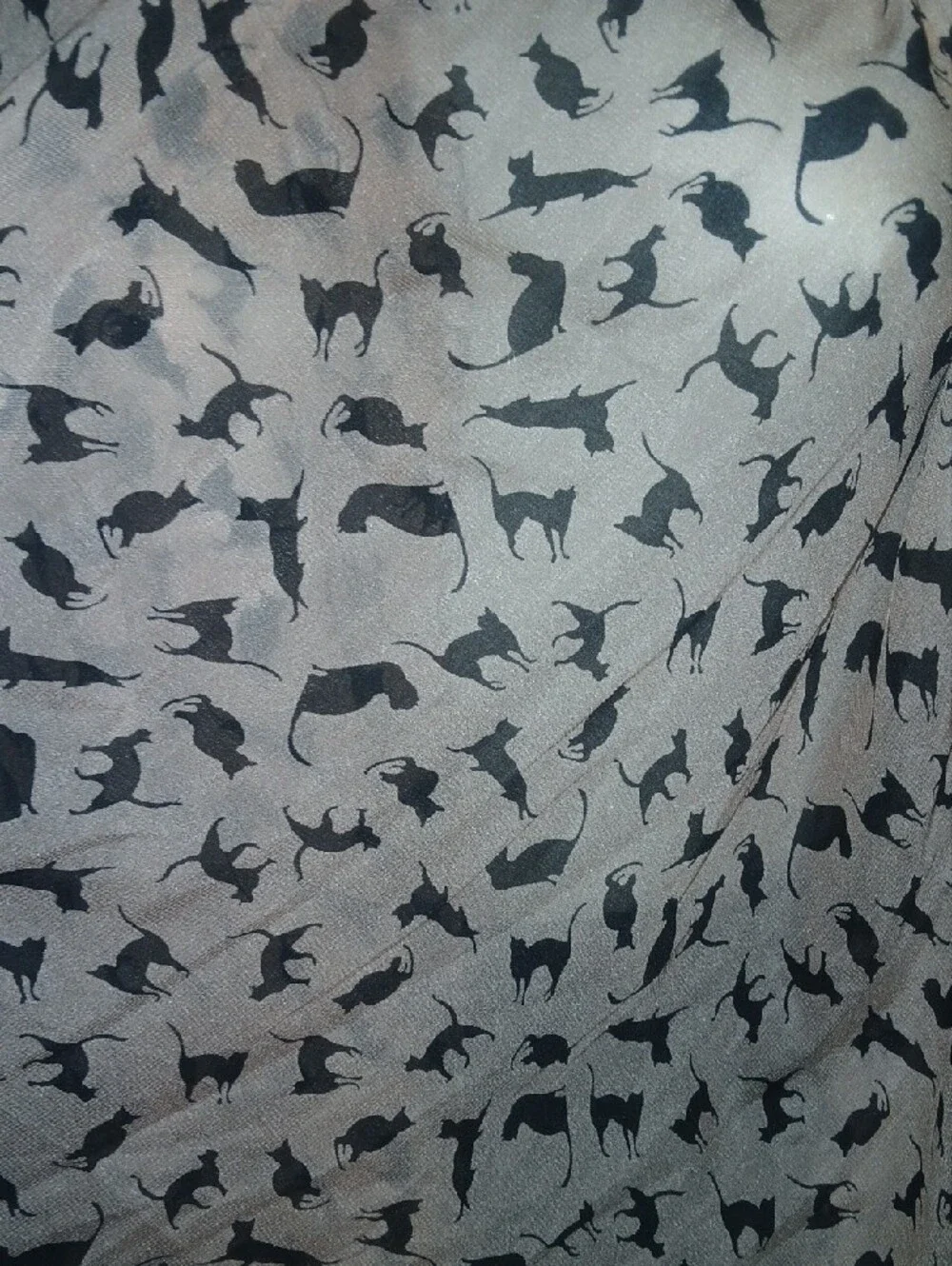 Black Kitty Cat Print Light Pink Scarf